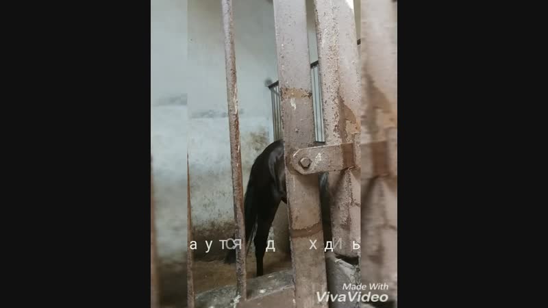 Збор❤