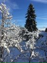 Объявление от Три - фото №1