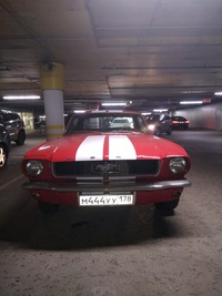 Слава Почетный