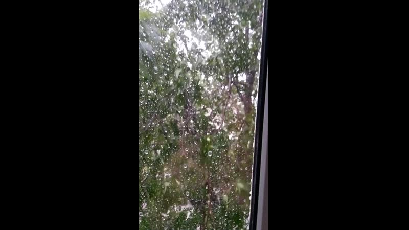 20190624_151222.mp4