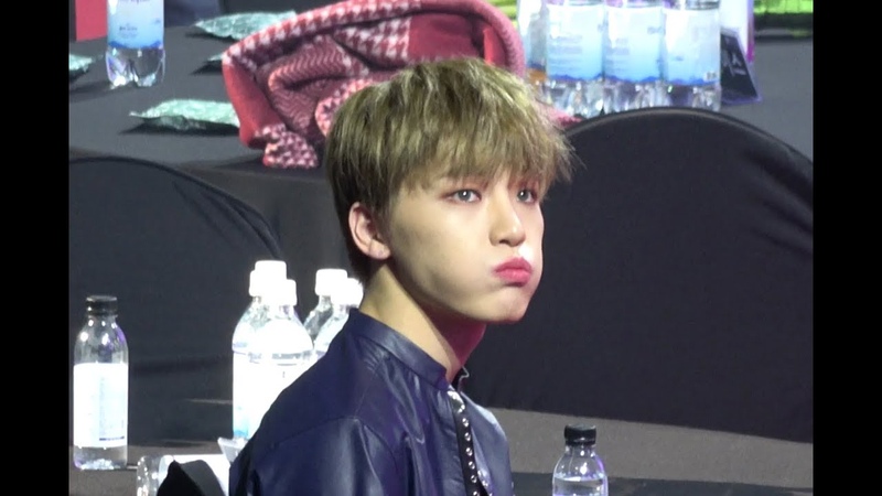 190211 스물한번째 생일 기념 볼빵빵 디노 모음