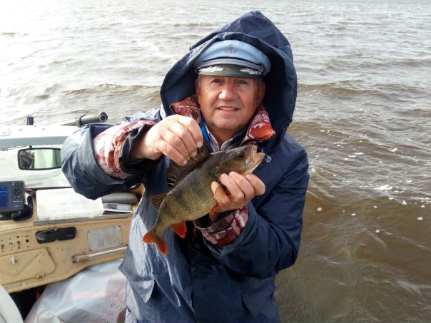 Рыбалка — Рыбинское водохранилище, Вологодская область, 59.002, 37.871