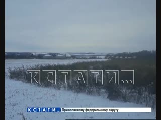 Жители Лысково напуганы разрастающимся кладбищем павшего скота.