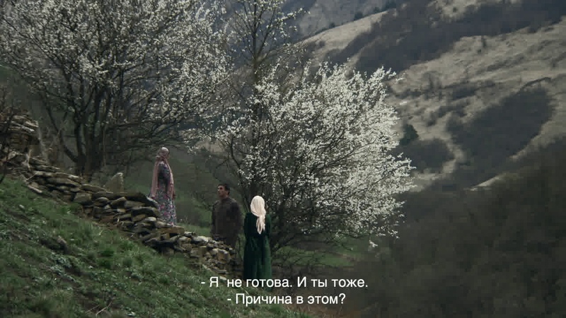 Любовь Тамерлана