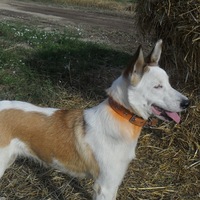 Павел Анисимов | Москва