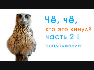 Чё, чё, чё, кто, кто это кинул? - Сова Ёль в гугл озвучке