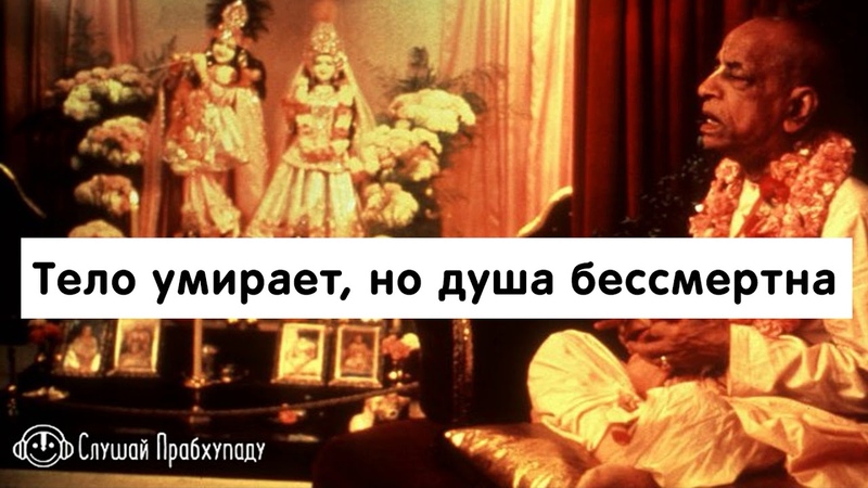 Тело умирает, но душа бессмертна