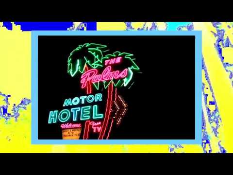 The Palms Levitate Official Video