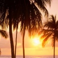 Дмитрий Кирсанов | Серпухов