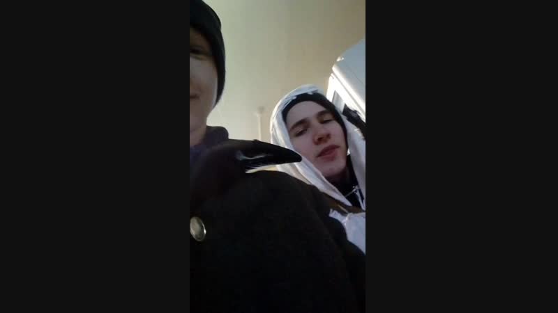 Дойчен швайне