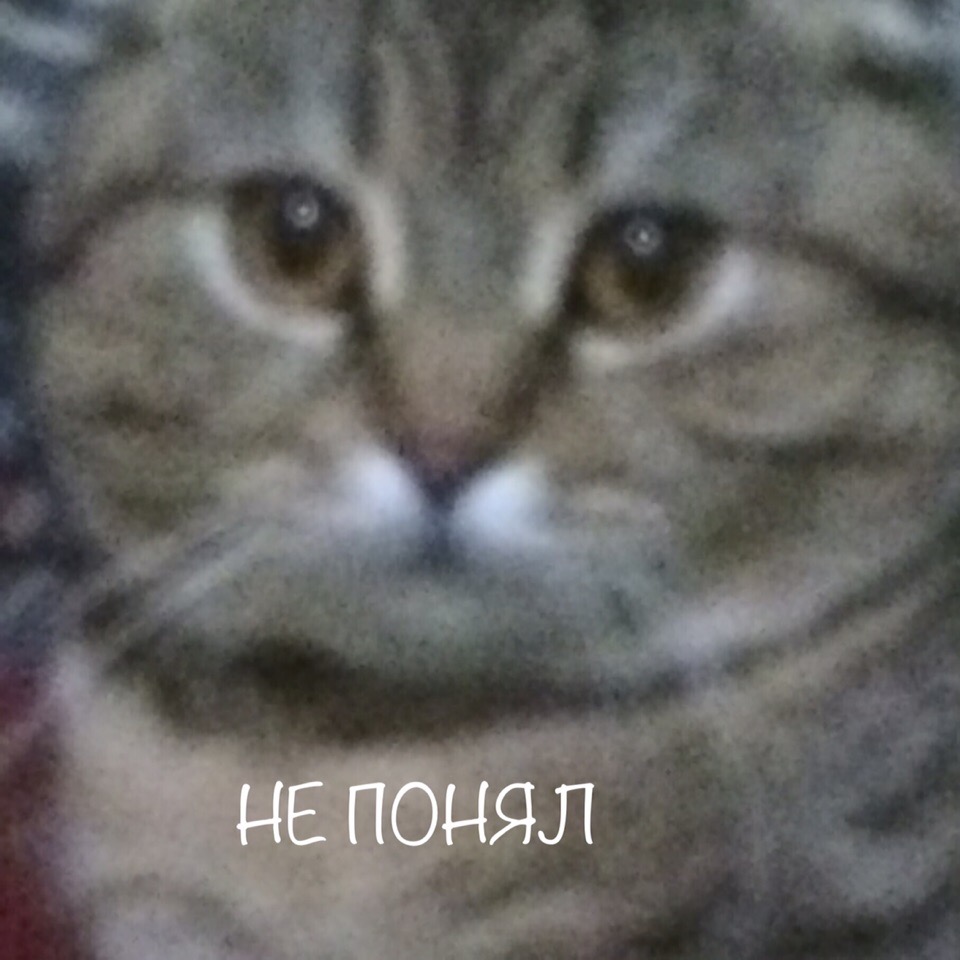 lZwy4igjqCs.jpg