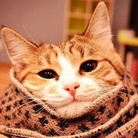 Артур Мальцев | Симферополь