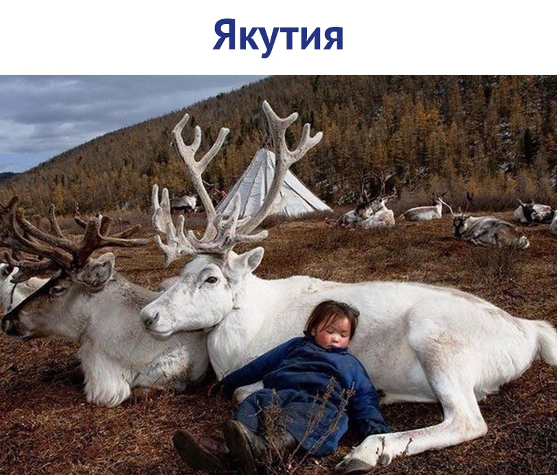https://pp.userapi.com/c851036/v851036637/51563/MyV1x57A7PY.jpg