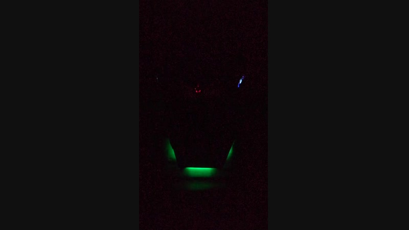 VID_20190117_171533.mp4