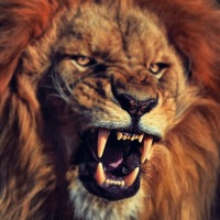 Aleksei Stepanov | New York City