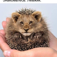 Евгений Глушков | Тихвин
