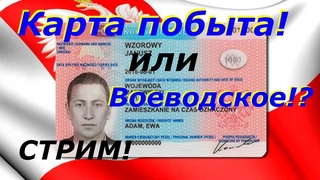 Работа в Польше! Карта побыта! Воеводское приглашение! Актуальные вакансии! И многое другое! Стрим!