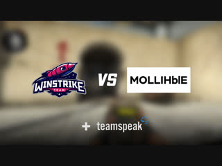Winstrike Team CS:GO TeamSpeak @ CIS Minor Closed Qualifier p.2