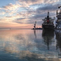 Елена Асеева | Запорожье