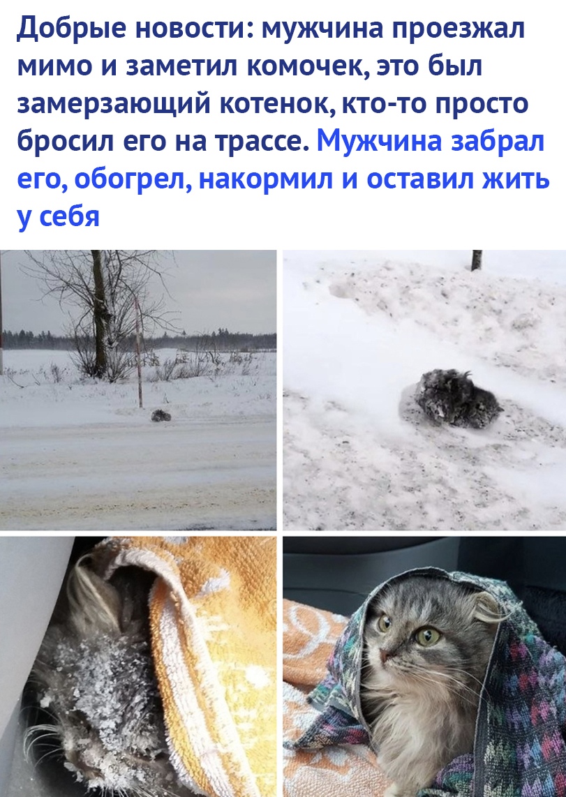 https://pp.userapi.com/c851120/v851120097/57e08/PrMqnXPpHLQ.jpg
