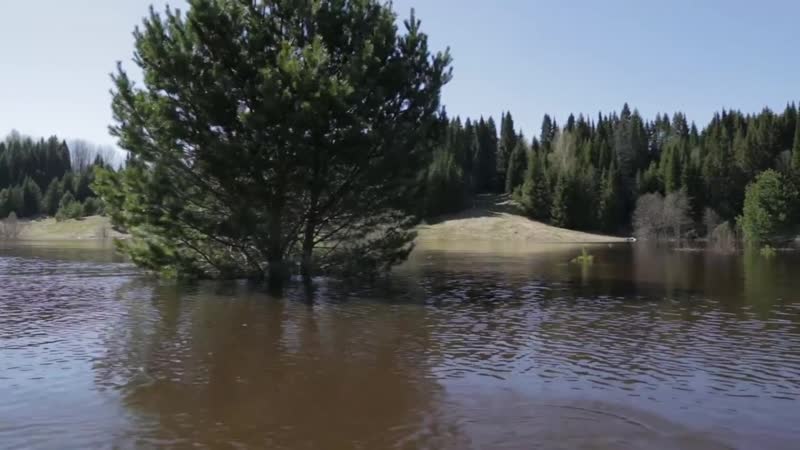Разлив Ветлуги