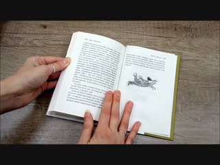 Книжные сливки: 1. «Кот без прикрас» Терри Пратчетта