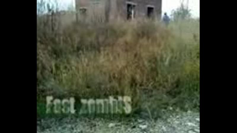 FZ тренировка