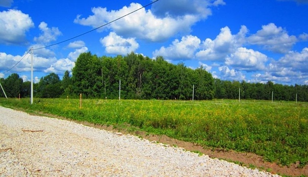 Продается участок 25 гектаров , расположенный в с. Татарская Каргала, Сакмарского района,Оренбургской области. Земли сельхозназначения . Кадастровый номер : 56:25:1404003:78. Длина участка 766 м., ширина 399 м. Стоимость 5600000 руб.По всем интересующим вопросам звоните по телефону : 89228258888. <br>Предлагаю к продаже земельный участок площадью 30 соток, расположенный с. Майорское , Сакмарского района, Оренбургской области. Кадастровый номер : 56:25:1408007:187. Земли сельхозназначения. Участок расположен вдоль реки Каргалка, протяженностью 105 м., по периметру 275 м., в глубину 55 м. Цена 1500000 рублей. Звоните : 89228258888 - фото Фото: Продается участок 25 гектаров , расположенный в с. Татарская Каргала, Сакмарского района,Оренбургской области. Земли сельхозназначения . Кадастровый номер : 56:25:1404003:78. Длина участка 766 м., ширина 399 м. Стоимость 5600000 руб.По всем интересующим вопросам звоните по телефону : 89228258888. <br>Предлагаю к продаже земельный участок площадью 30 соток, расположенный с. Майорское , Сакмарского района, Оренбургской области. Кадастровый номер : 56:25:1408007:187. Земли сельхозназначения. Участок расположен вдоль реки Каргалка, протяженностью 105 м., по периметру 275 м., в глубину 55 м. Цена 1500000 рублей. Звоните : 89228258888