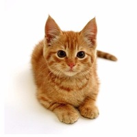 Юлия Липская | Семей