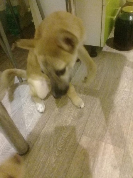 Добрый день! Сама я из города Курган. В вашем городе живет м