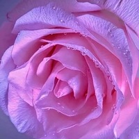 Ольга Ласточкина | 