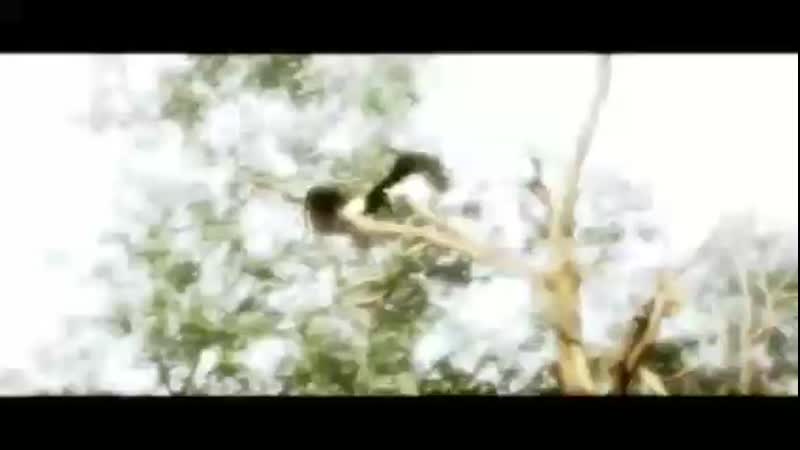 Nasheed Assasins Creed2