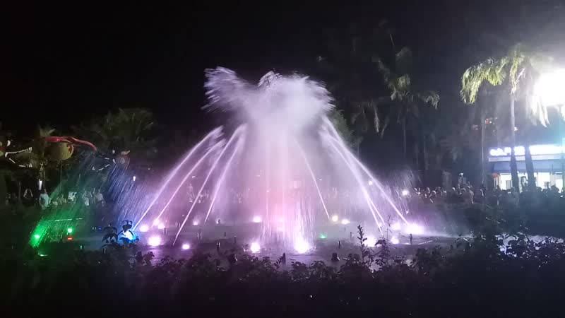VID_20190510_171221.mp4