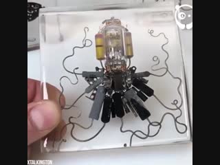 Когда в душе ты художник