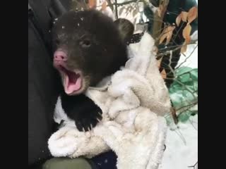 Когда оделся не по погоде