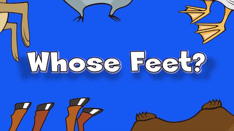 Whose feet