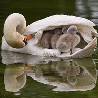 Павел Станиславович | 