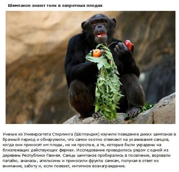 10 фактов о фруктах, которые должен знать каждый Без употребления в пищу различных фруктов, человек не получает необходимых для организма витаминов, которые являются неотъемлемой частью