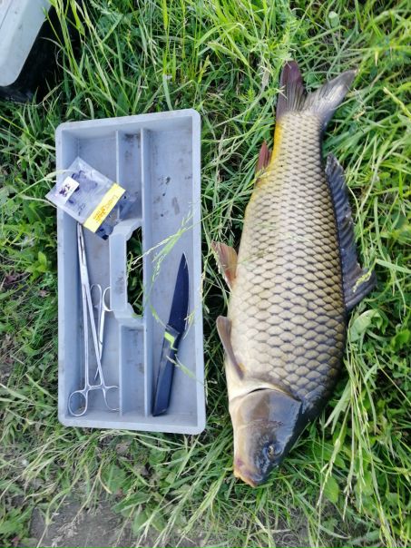 Рыболовное место в Республике Мордовия — 54.510, 45.324