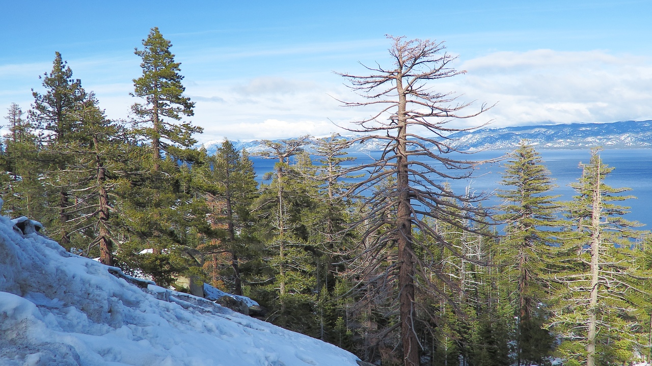 Ударим автопробегом по дикому западу! USA 2019 7-25 марта.