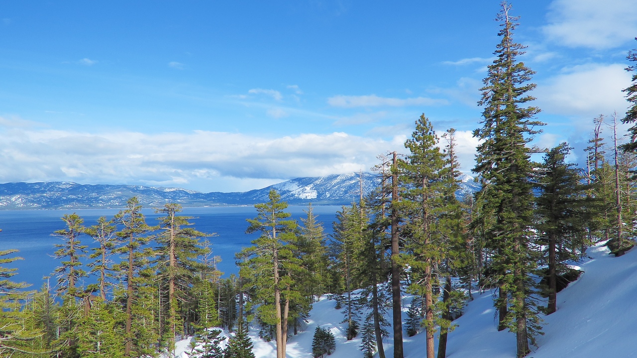 Ударим автопробегом по дикому западу! USA 2019 7-25 марта.