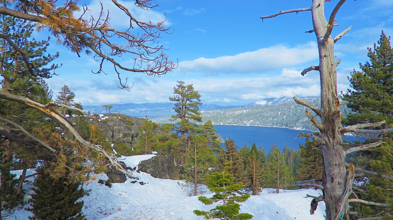 Ударим автопробегом по дикому западу! USA 2019 7-25 марта.