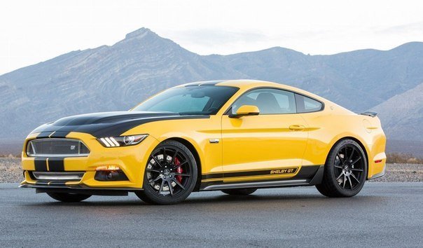 Ford Shelby GT