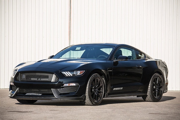 2016 Shelby GT350