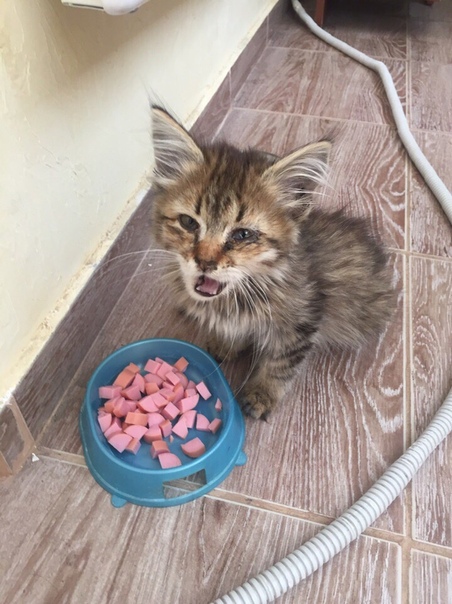 г. Пенза
Здравствуйте! Помогите пожалуйста найти передержку