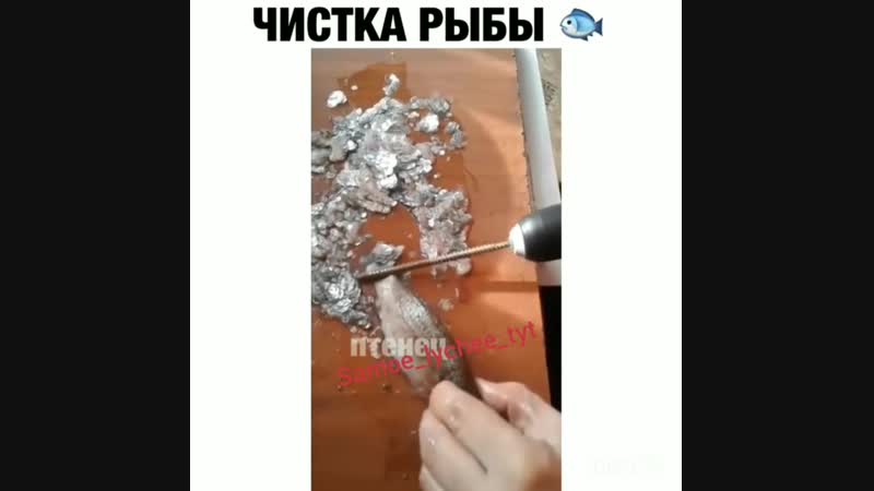 Samoe_lychee_tyt