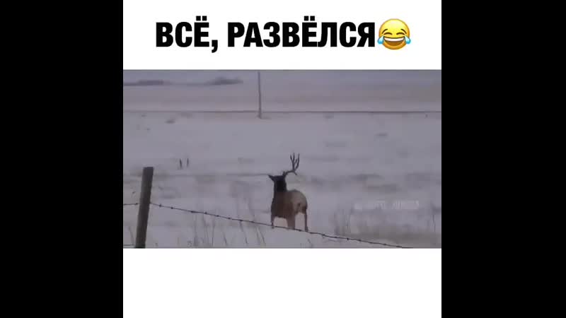 Развёлся)