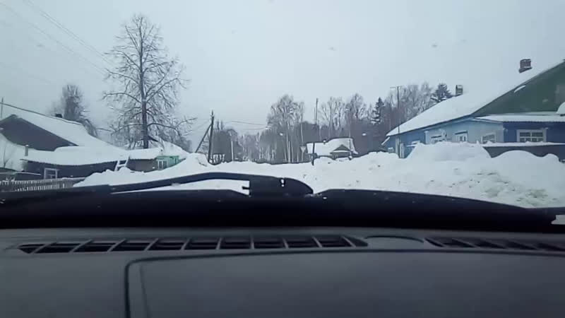 пижма
