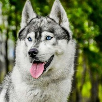 Кирилл Капризов