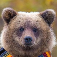 Андрей Леонтьев